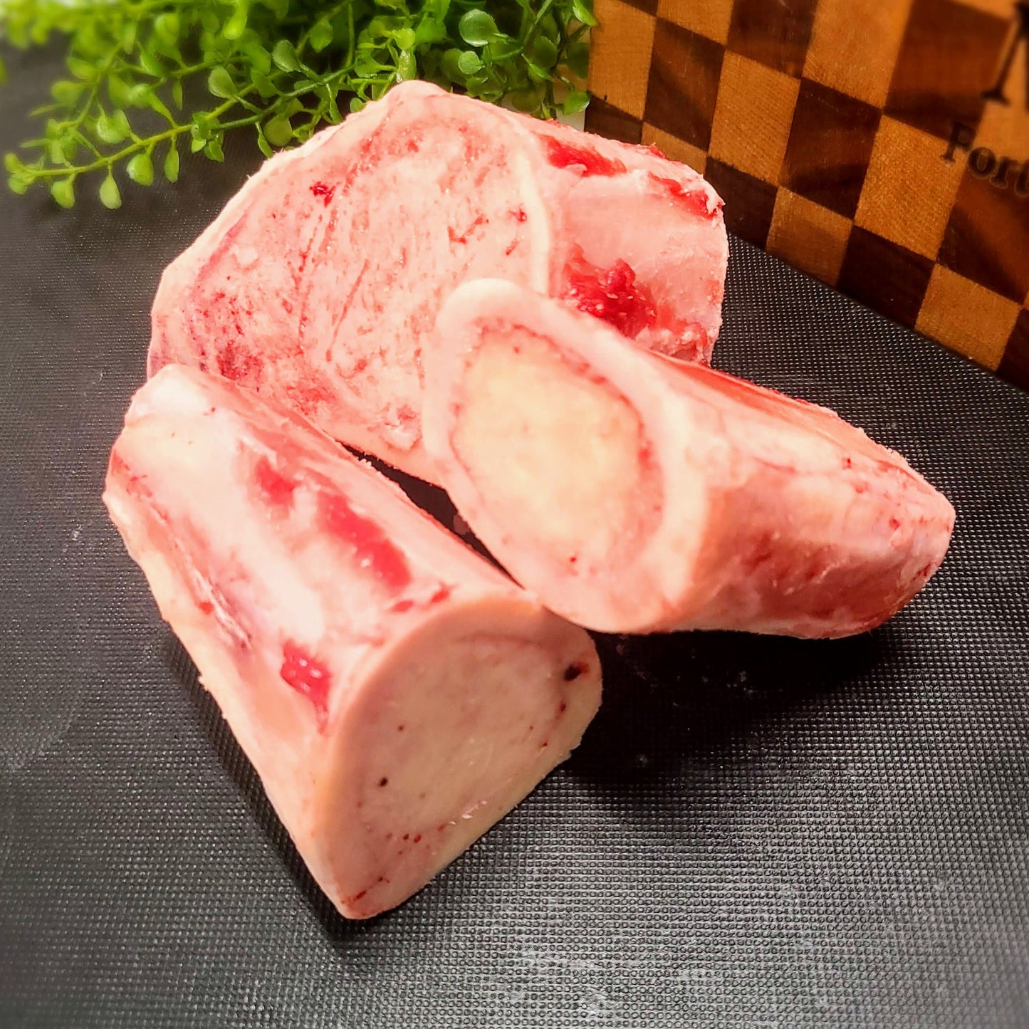 Dog Bone Box - 10 lbs