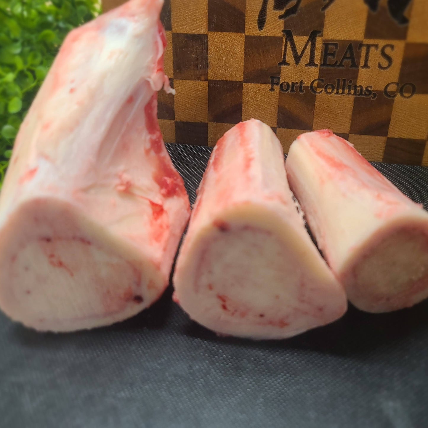 Dog Bone Box - 10 lbs