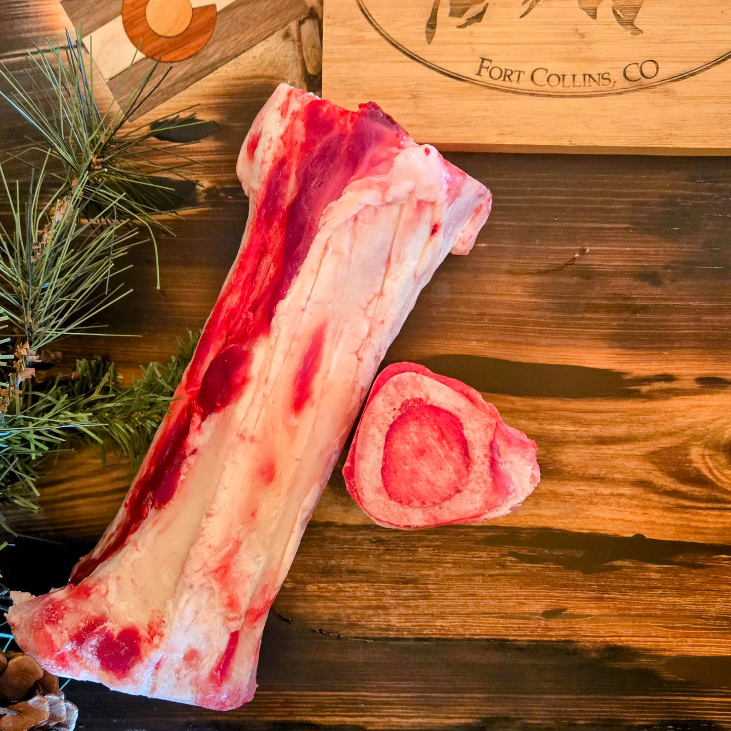 Dog Bone Box - 10 lbs