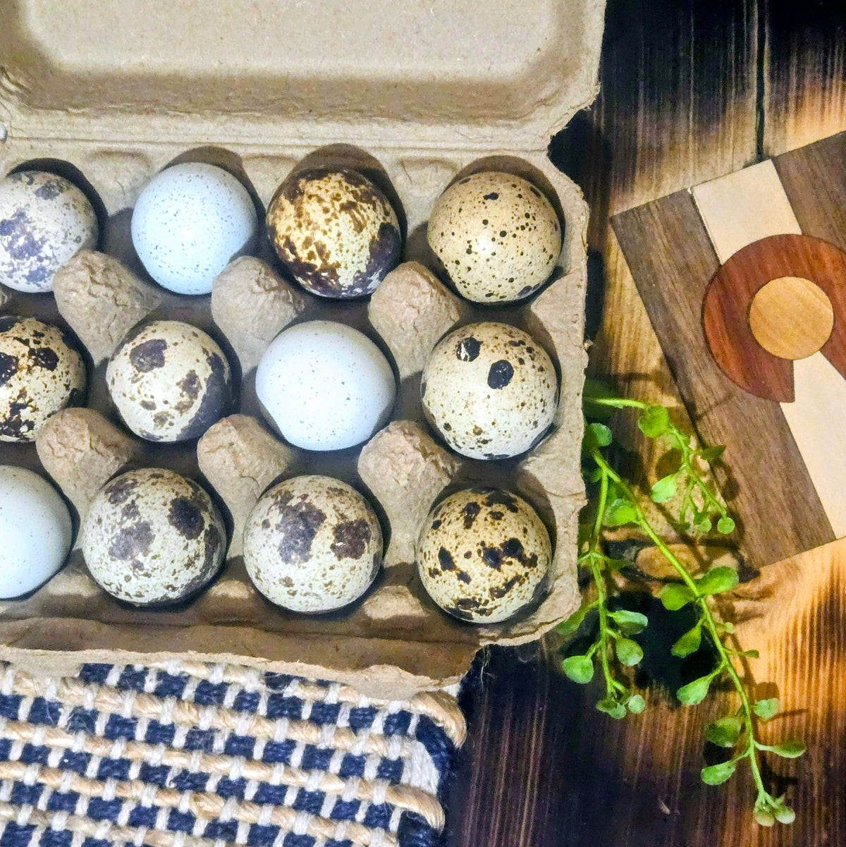 Free Range Eggs
