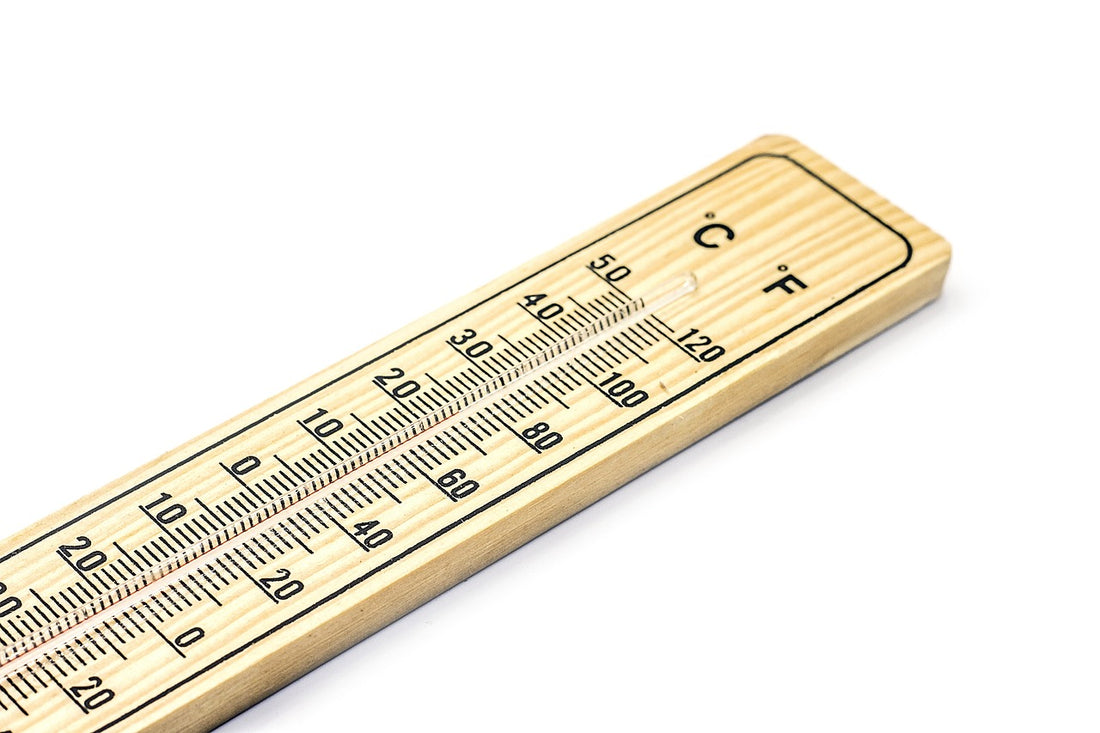 What Temperature Does Beef Fat Render Best At?