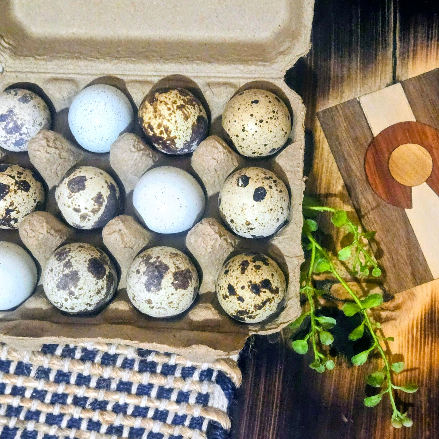 Free Range Eggs