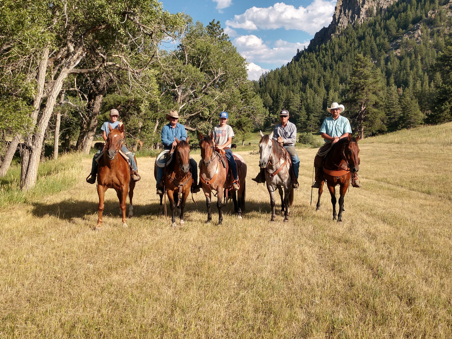 Gathering cattle on horse at Mill Creek Ranch, Virginia Dale, CO