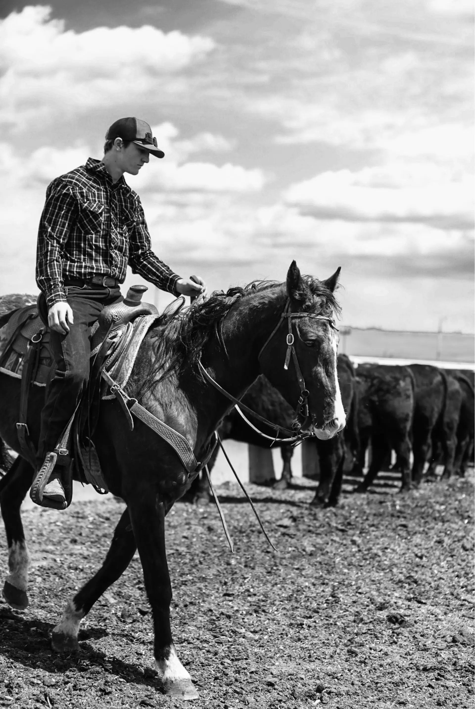 Mountain View Meats Ranch